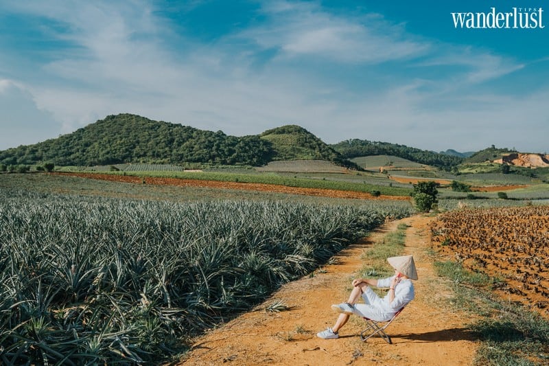 Những thước hình trong veo của nhóm bạn 9X nơi đồi dứa Đồng Giao 10 Wanderlust tips check in doi dua dong giao diem song ao hut like o ninh binh 8