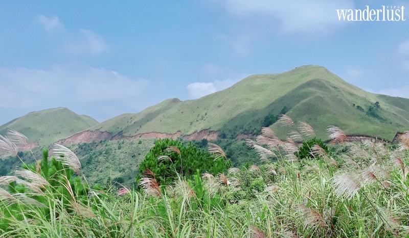 Đặt lịch hẹn với Bình Liêu mùa cỏ lau đẹp nao lòng 11 Wanderlust tips dat lich hen voi binh lieu mua co lau dep nao long 2