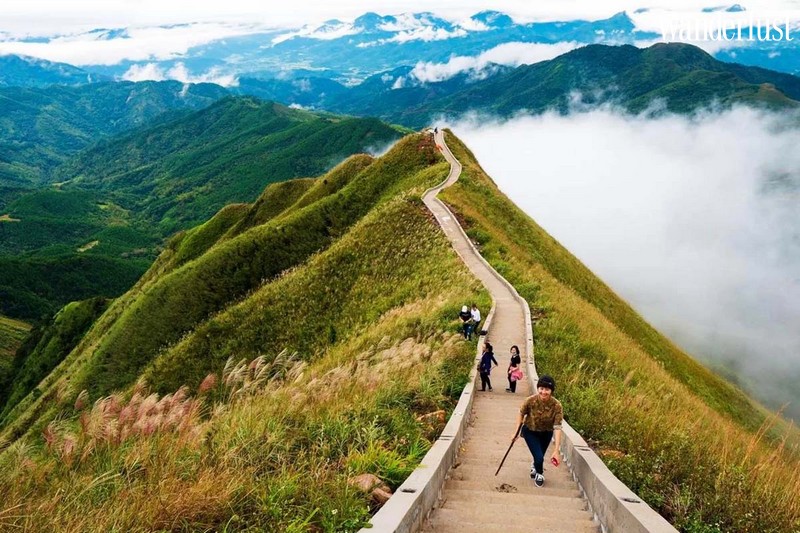 Đặt lịch hẹn với Bình Liêu mùa cỏ lau đẹp nao lòng 5 Tạp chí Du lịch Wanderlust Tips | Đặt lịch hẹn với Bình Liêu mùa cỏ lau đẹp nao lòng