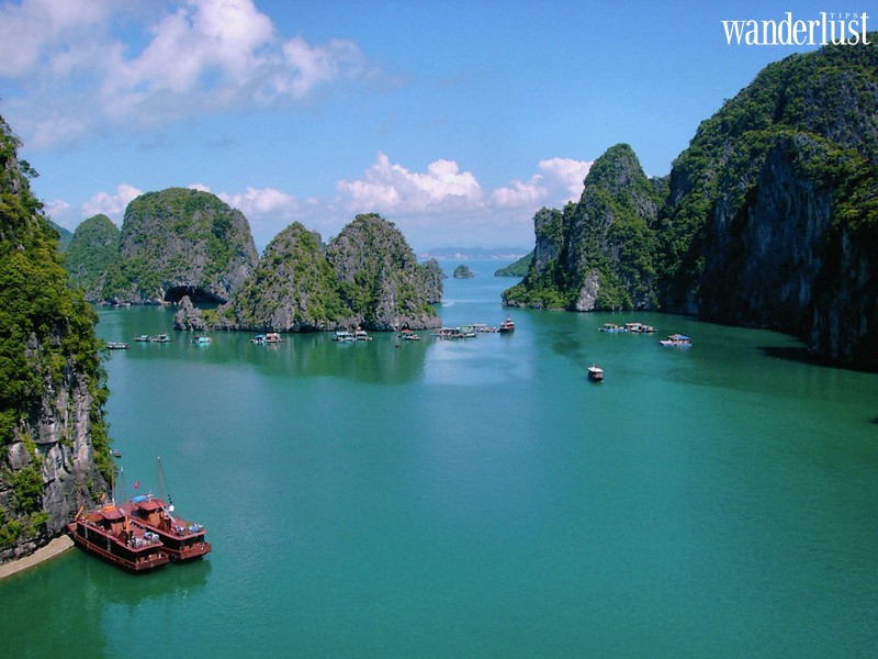 Tạp chí du lịch Wanderlust Tips | Du lịch Vịnh Hạ Long và những điều cần biết