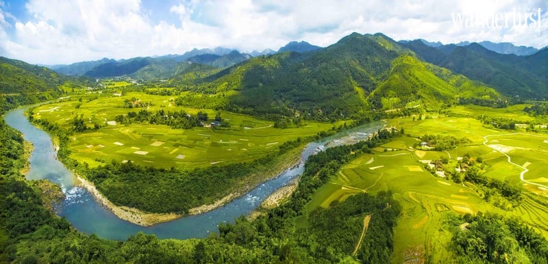 Tạp chí Du lịch Wanderlust Tips | Ghé chân Bình Liêu, ngắm hoa lau nở trắng cả khoảng trời 