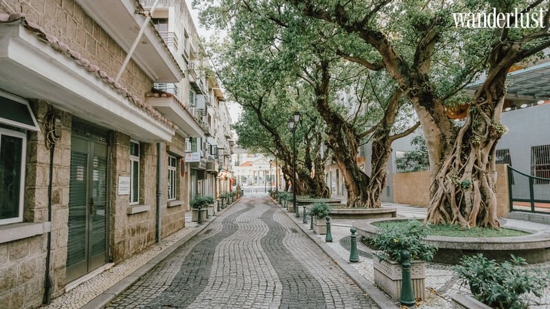 Wanderlust tips hanh trinh hong kong ma cao nhung dieu mat thay tai nghe 21