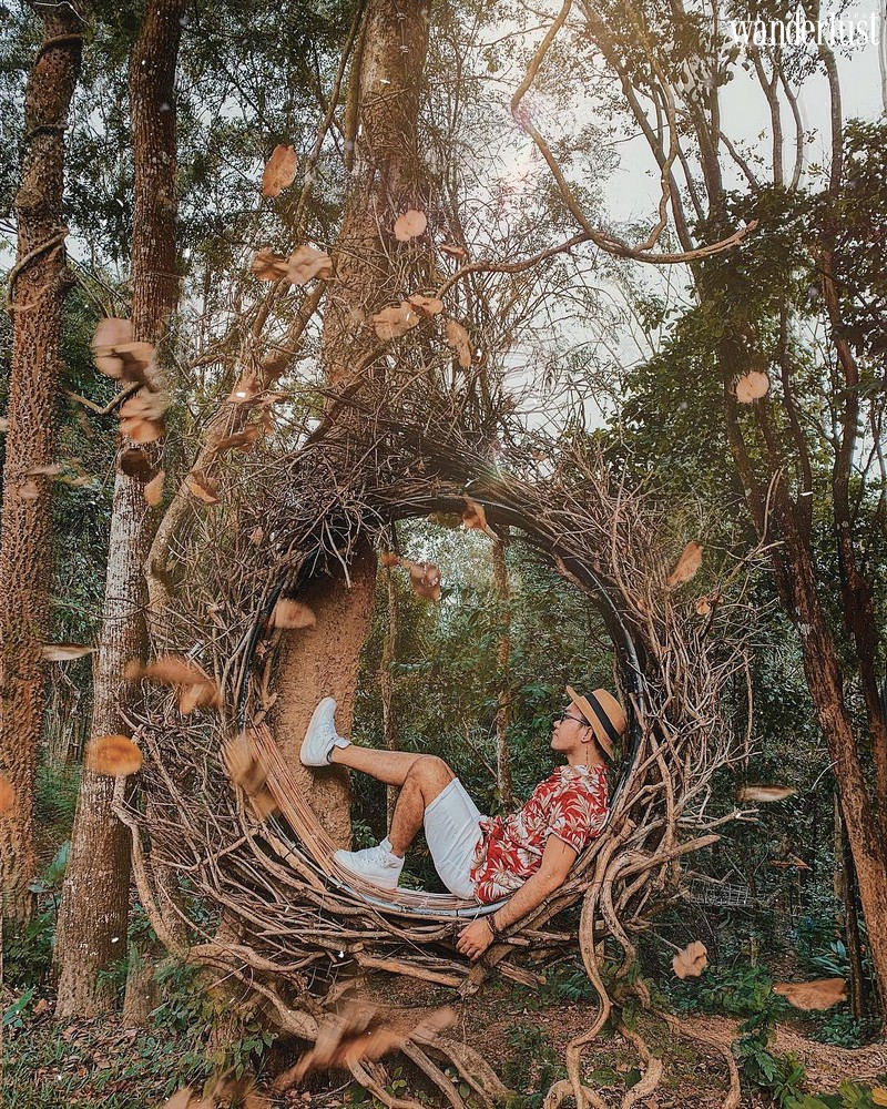 Khu sinh thái Troh Bư, Tây Nguyên: “Xích đu tổ kén” độc đáo thu hút giới trẻ đến “sống ảo” 7 Tạp chí Du lịch Wanderlust Tips | Khu sinh thái Troh Bư, Tây Nguyên: “Xích đu tổ kén” độc đáo thu hút giới trẻ đến “sống ảo”