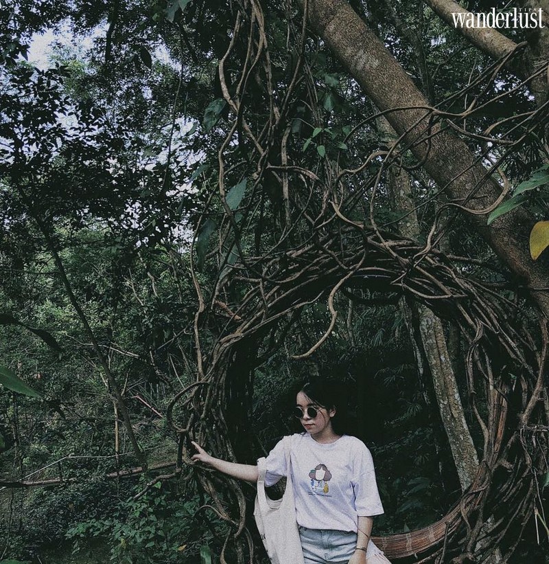 Khu sinh thái Troh Bư, Tây Nguyên: “Xích đu tổ kén” độc đáo thu hút giới trẻ đến “sống ảo” 6 Tạp chí Du lịch Wanderlust Tips | Khu sinh thái Troh Bư, Tây Nguyên: “Xích đu tổ kén” độc đáo thu hút giới trẻ đến “sống ảo”