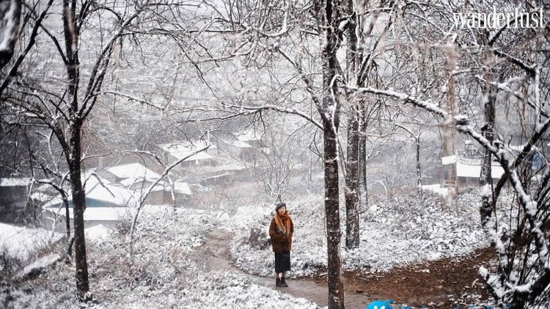 Kinh nghiệm lên Sapa săn tuyết rơi đẹp mơ màng 13 Tạp chí Du lịch Wanderlust Tips | Kinh nghiệm lên Sapa săn tuyết rơi đẹp mơ màng
