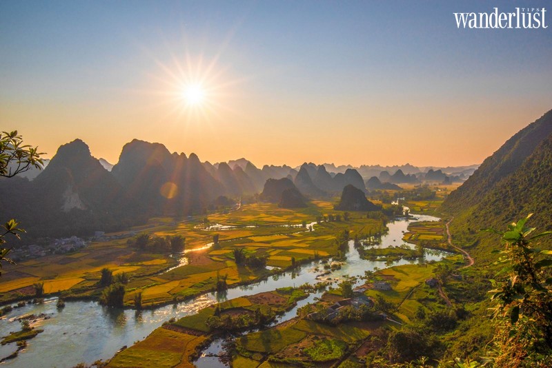 Tạp chí Du lịch Wanderlust Tips | Mơ màng vẻ đẹp mùa lúa chín bên sông Quây Sơn