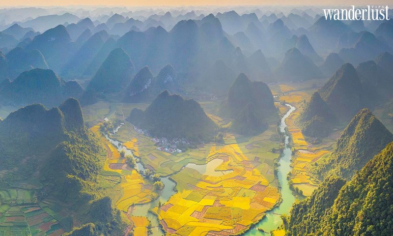 Tạp chí Du lịch Wanderlust Tips | Mơ màng vẻ đẹp mùa lúa chín bên sông Quây Sơn