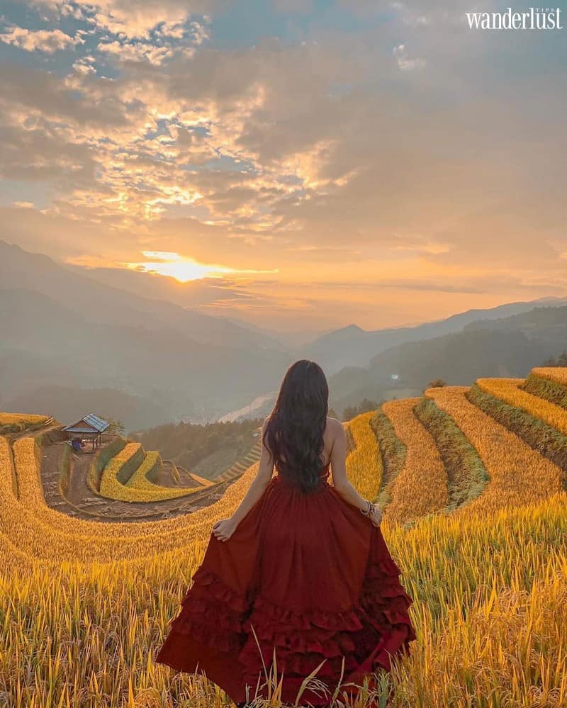 Wanderlust tips nhung diem chup anh mua lua chin vang dep lim tim 1