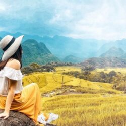 Wanderlust tips nhung diem chup anh mua lua chin vang dep lim tim 15 1