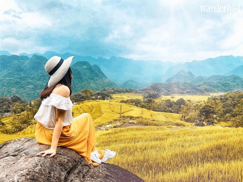 Wanderlust tips nhung diem chup anh mua lua chin vang dep lim tim 15