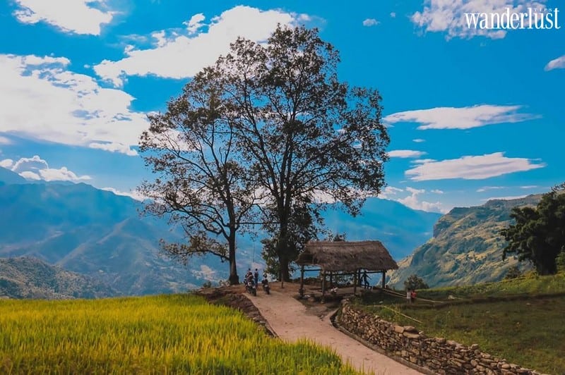 Wanderlust tips nhung diem chup anh mua lua chin vang dep lim tim 17