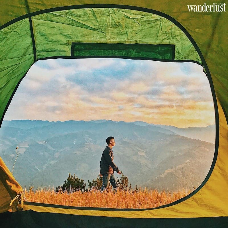 Wanderlust tips nhung diem chup anh mua lua chin vang dep lim tim 6