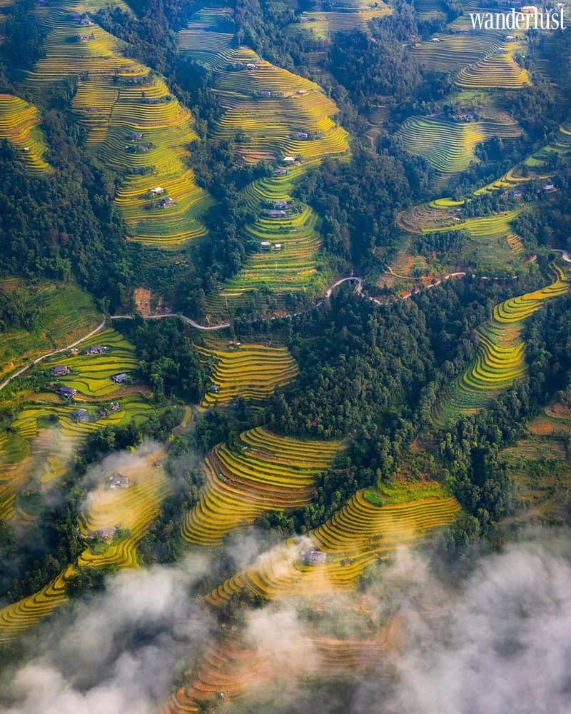 Wanderlust tips nhung diem chup anh mua lua chin vang dep lim tim 9