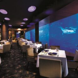 Tạp chí Du lịch Wanderlust Tips | Ocean Restaurant, Singapore: Thưởng thức bữa tối cùng hàng trăm ngàn sinh vật biển