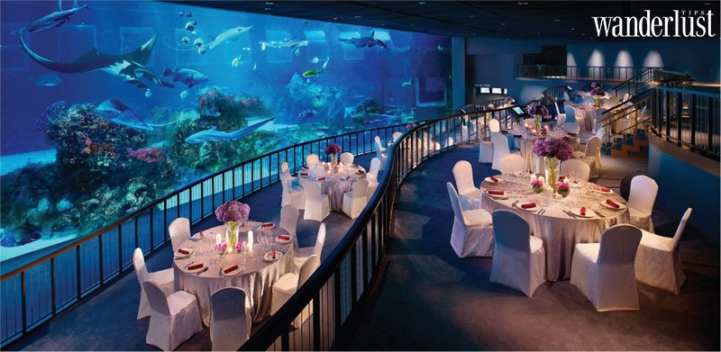 Tạp chí Du lịch Wanderlust Tips | Ocean Restaurant, Singapore: Thưởng thức bữa tối cùng hàng trăm ngàn sinh vật biển
