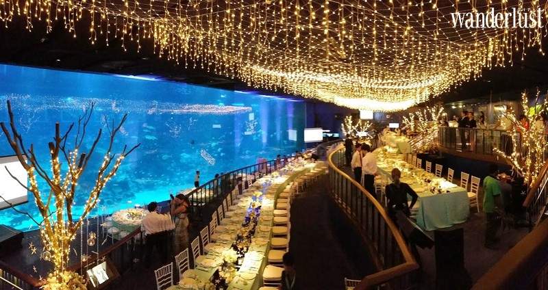 Tạp chí Du lịch Wanderlust Tips | Ocean Restaurant, Singapore: Thưởng thức bữa tối cùng hàng trăm ngàn sinh vật biển