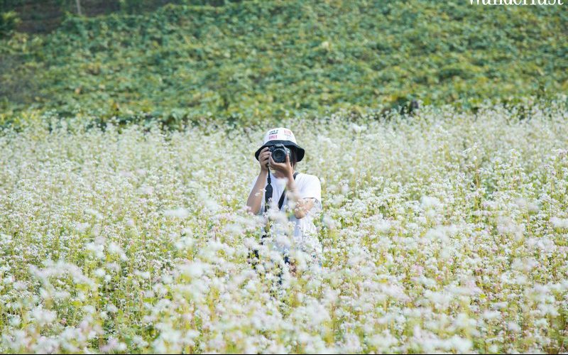Tạp chí Du lịch Wanderlust Tips | Vi vu Mộc Châu ngắm hoa cải trắng đầu mùa