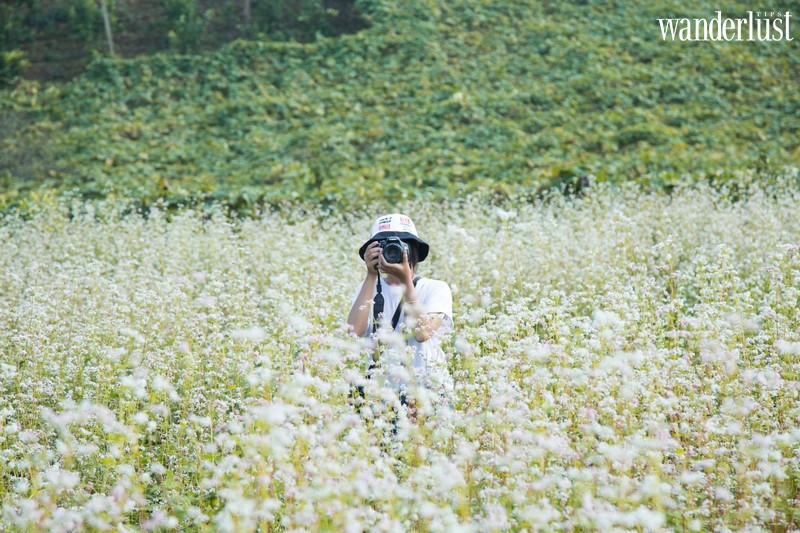 Vi vu Mộc Châu ngắm hoa cải trắng đầu mùa 10 Tạp chí Du lịch Wanderlust Tips | Vi vu Mộc Châu ngắm hoa cải trắng đầu mùa
