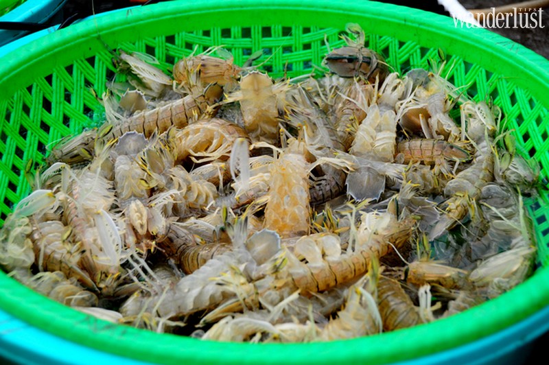 Có gì đặc biệt bên trong khu chợ hải sản ở cảng cá Hạ Long? 10 Tạp chí Du lịch Wanderlust Tips | Có gì đặc biệt bên trong khu chợ hải sản ở cảng cá Hạ Long?