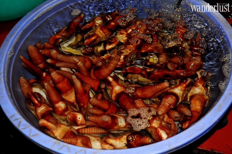 Có gì đặc biệt bên trong khu chợ hải sản ở cảng cá Hạ Long? 9 Tạp chí Du lịch Wanderlust Tips | Có gì đặc biệt bên trong khu chợ hải sản ở cảng cá Hạ Long?