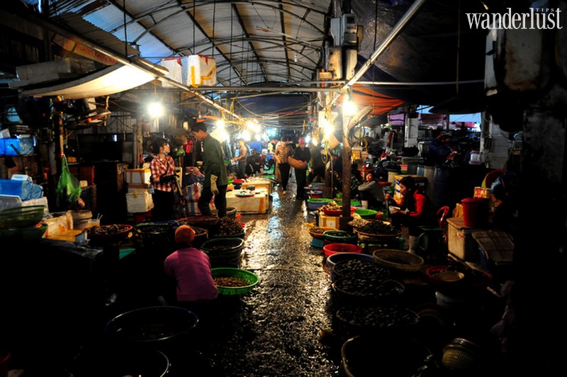 Có gì đặc biệt bên trong khu chợ hải sản ở cảng cá Hạ Long? 6 Tạp chí Du lịch Wanderlust Tips | Có gì đặc biệt bên trong khu chợ hải sản ở cảng cá Hạ Long?