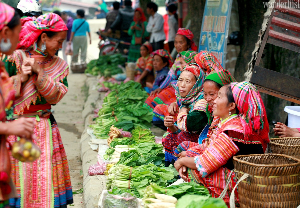 Tạp chí Du lịch Wanderlust Tips | Hà Giang: Giấc mơ miền đá núi của tôi