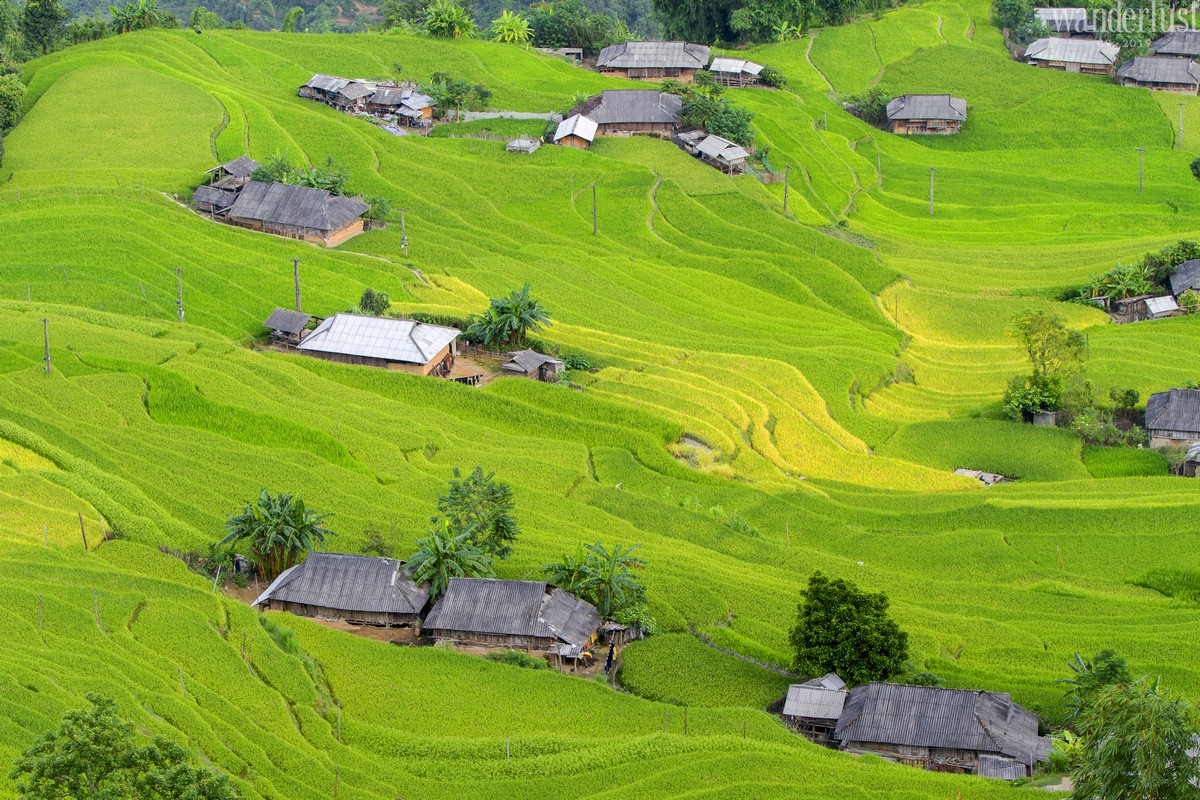 Tạp chí Du lịch Wanderlust Tips | Hà Giang: Giấc mơ miền đá núi của tôi