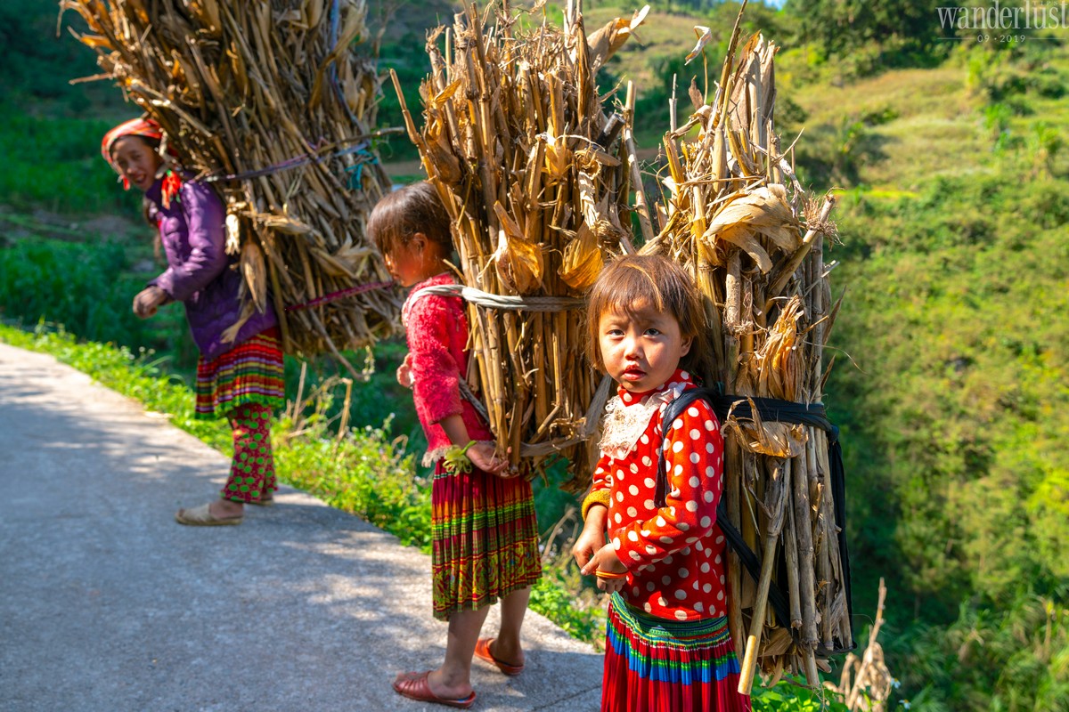 Tạp chí Du lịch Wanderlust Tips | Hà Giang: Giấc mơ miền đá núi của tôi