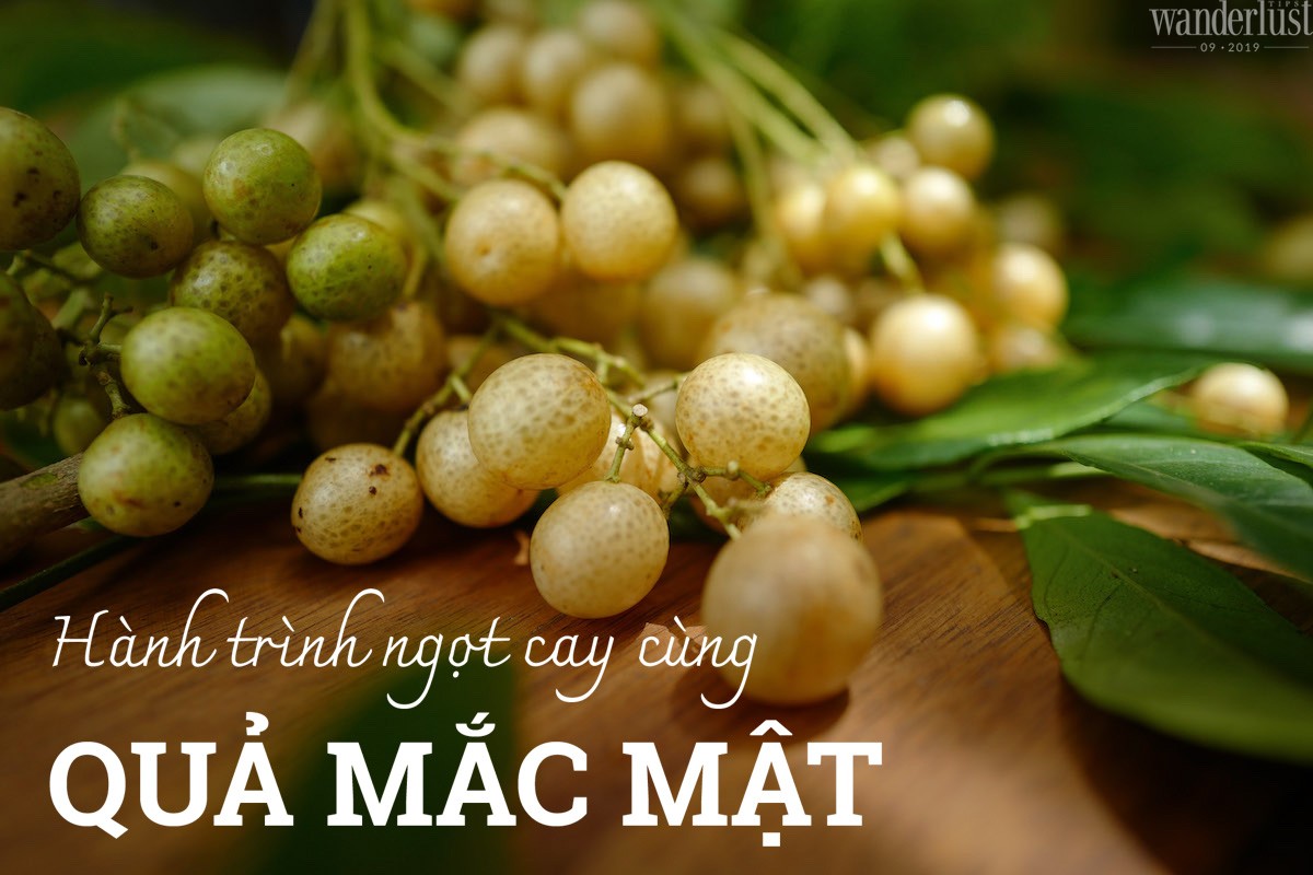 Hành trình ngọt cay cùng quả mắc mật 5 Tạp chí Du lịch Wanderlust Tips | Hành trình ngọt cay cùng quả mắc mật