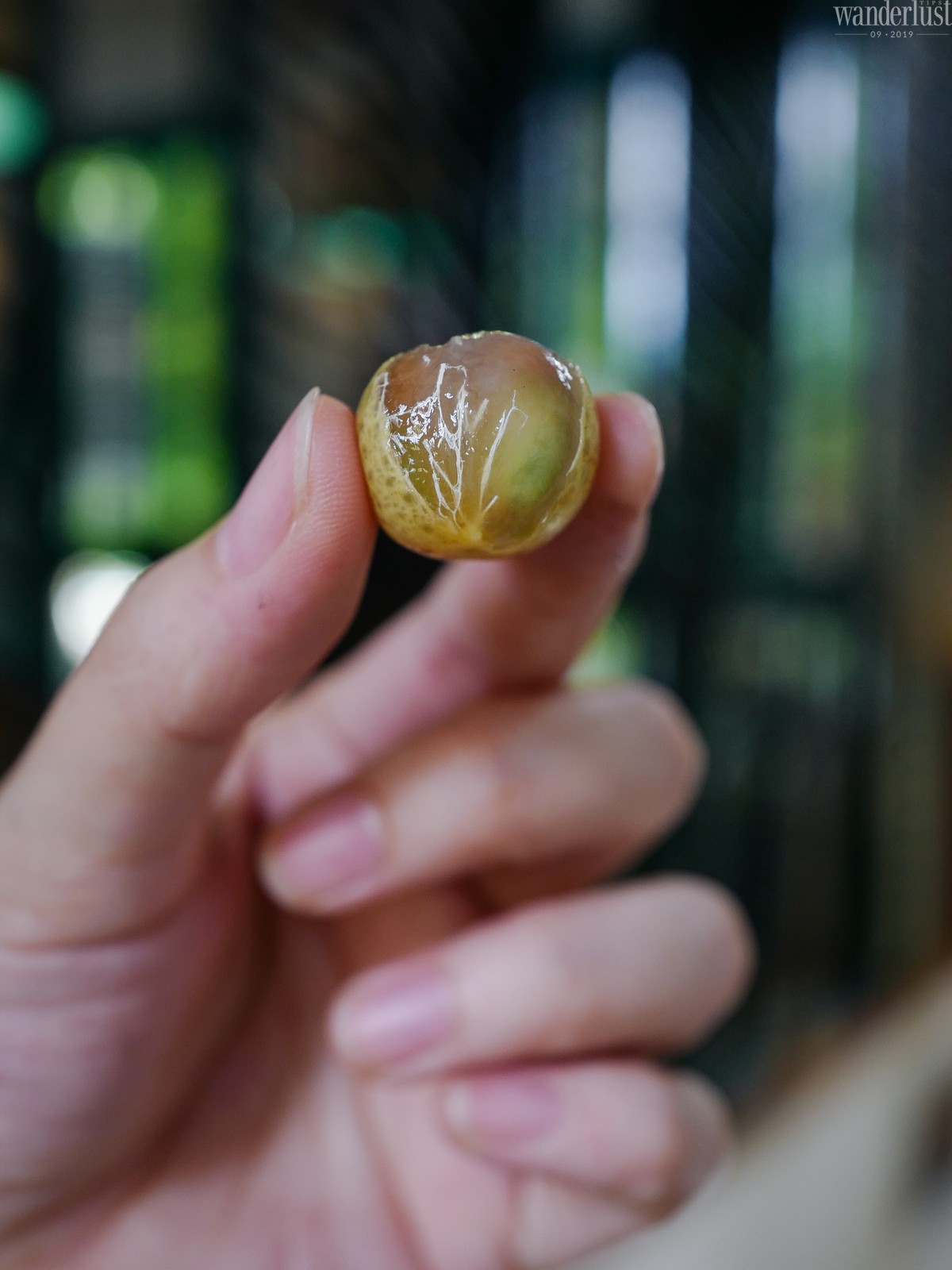 Hành trình ngọt cay cùng quả mắc mật 6 Tạp chí Du lịch Wanderlust Tips | Hành trình ngọt cay cùng quả mắc mật