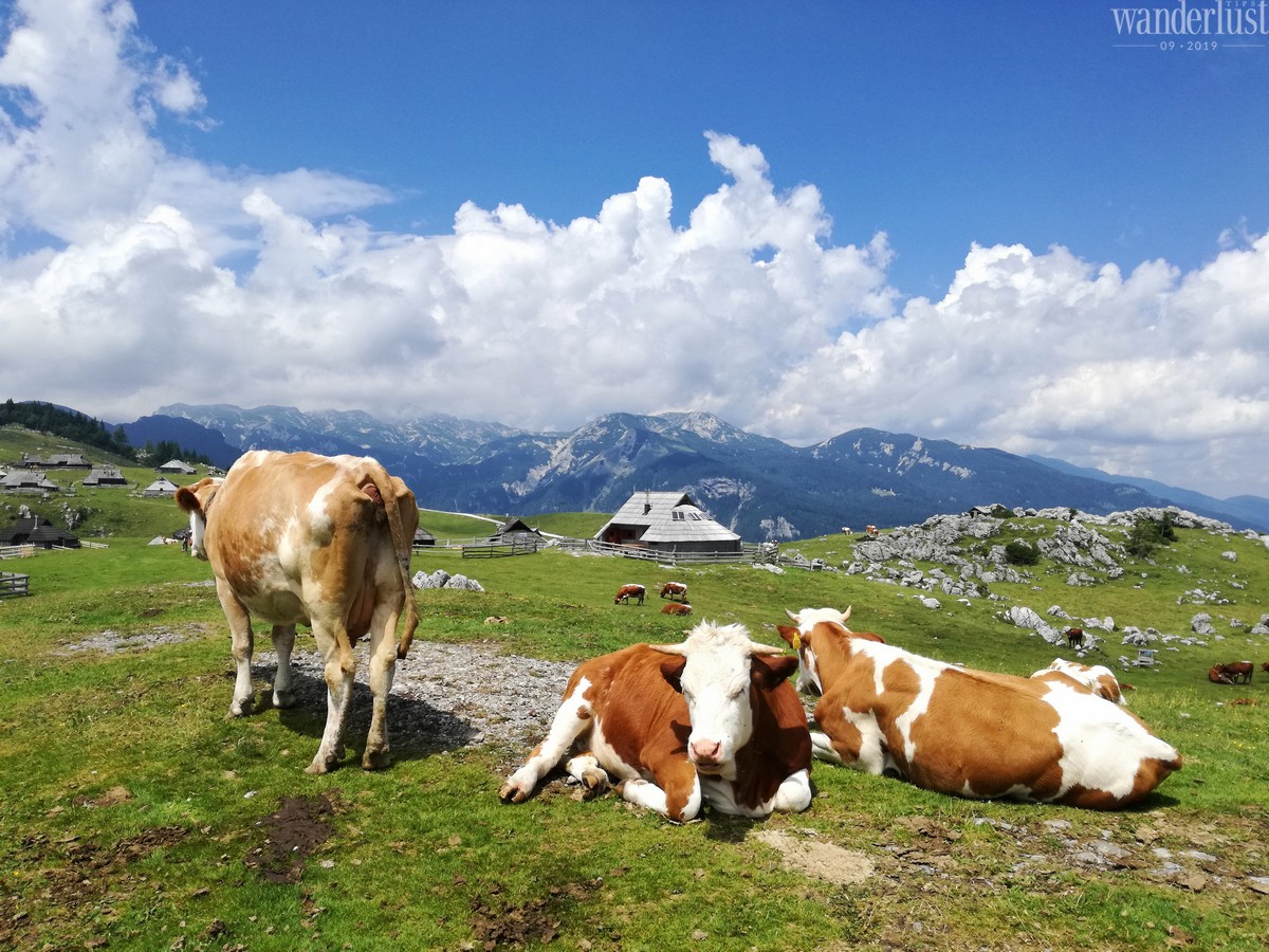 Tạp chí Du lịch Wanderlust Tips | Mê hoặc Slovenia