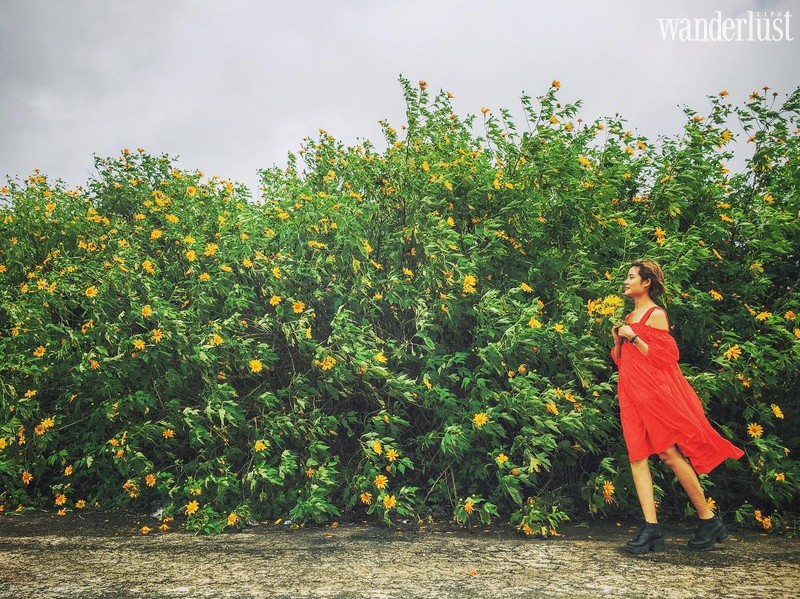 Wanderlust Tips cung duong hoa mua thu 03 1