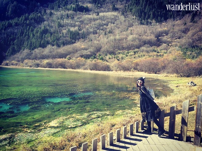 Tạp chí Du lịch Wanderlust Tips | Cửu Trại Câu, Trung Quốc - vẻ đẹp hệt bức tranh thủy mặc giữa đời thường