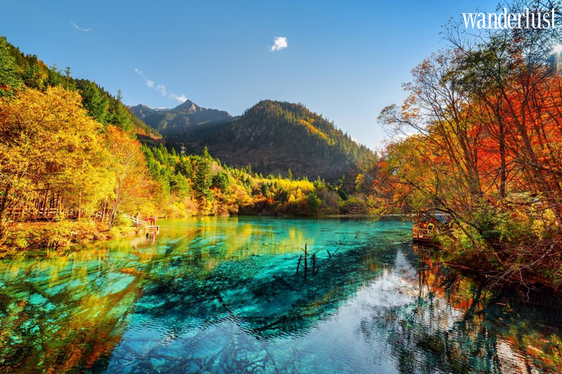 Tạp chí Du lịch Wanderlust Tips | Cửu Trại Câu, Trung Quốc - vẻ đẹp hệt bức tranh thủy mặc giữa đời thường