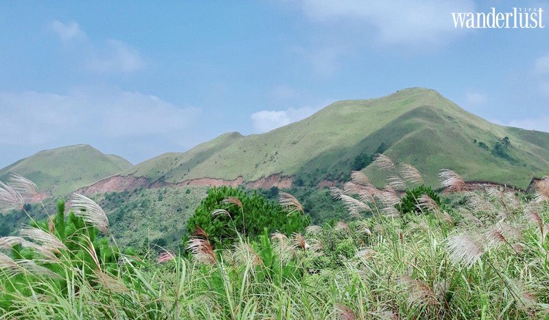 Wanderlust tips dat lich hen voi binh lieu mua co lau dep nao long 2