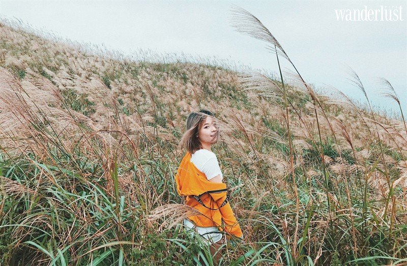 Tạp chí Du lịch Wanderlust Tips | Đặt lịch hẹn với Bình Liêu mùa cỏ lau đẹp nao lòng