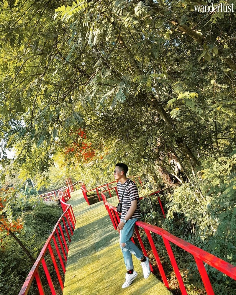Khu sinh thái Troh Bư, Tây Nguyên: “Xích đu tổ kén” độc đáo thu hút giới trẻ đến “sống ảo” 11 Wanderlust tips khu sinh thai troh bu tay nguyen xich du to ken dep tua bali thu hut gioi tre check in 7
