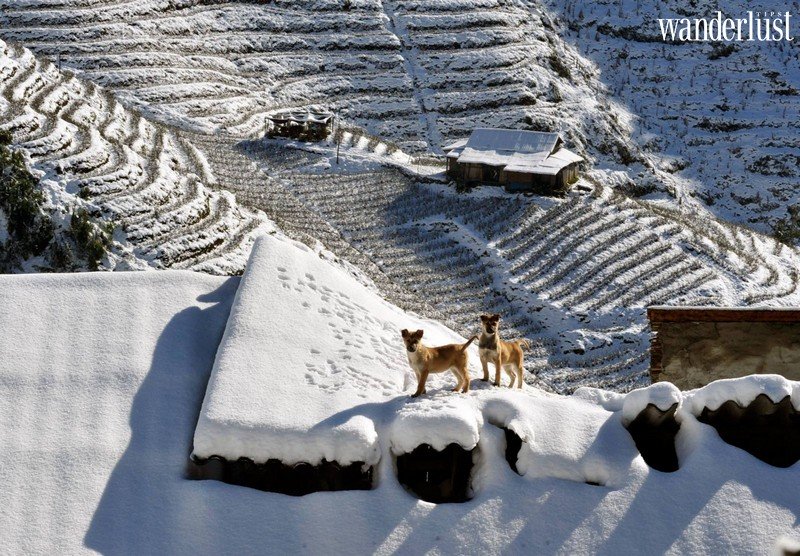 Tạp chí Du lịch Wanderlust Tips | Kinh nghiệm lên Sapa săn tuyết rơi đẹp mơ màng