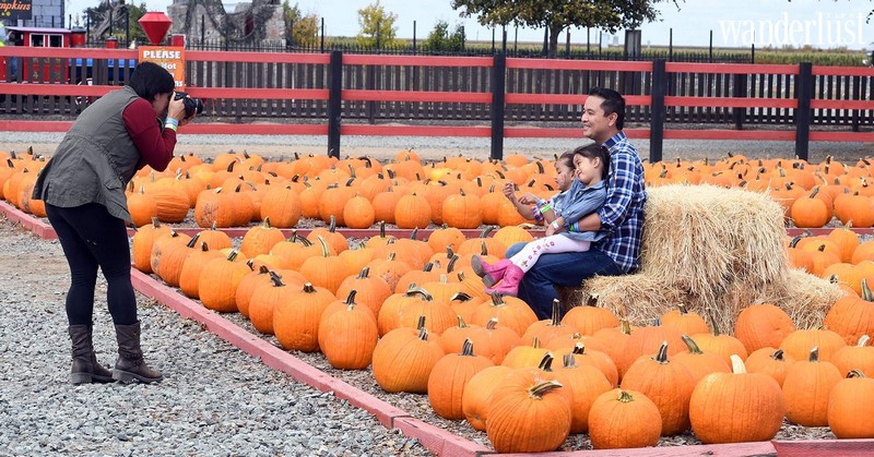 Tạp chí Du lịch Wanderlust Tips | Nông trại bí ngô khổng lồ, tọa độ check-in Halloween hot nhất ở Mỹ