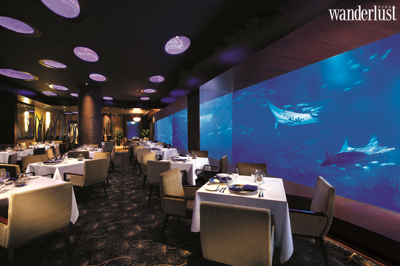 Tạp chí Du lịch Wanderlust Tips | Ocean Restaurant, Singapore: Thưởng thức bữa tối cùng hàng trăm ngàn sinh vật biển