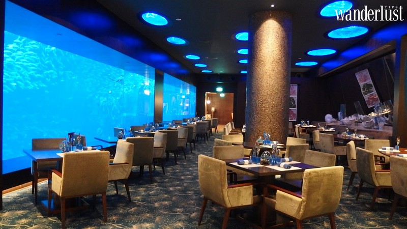 Tạp chí Du lịch Wanderlust Tips | Ocean Restaurant, Singapore: Thưởng thức bữa tối cùng hàng trăm ngàn sinh vật biển