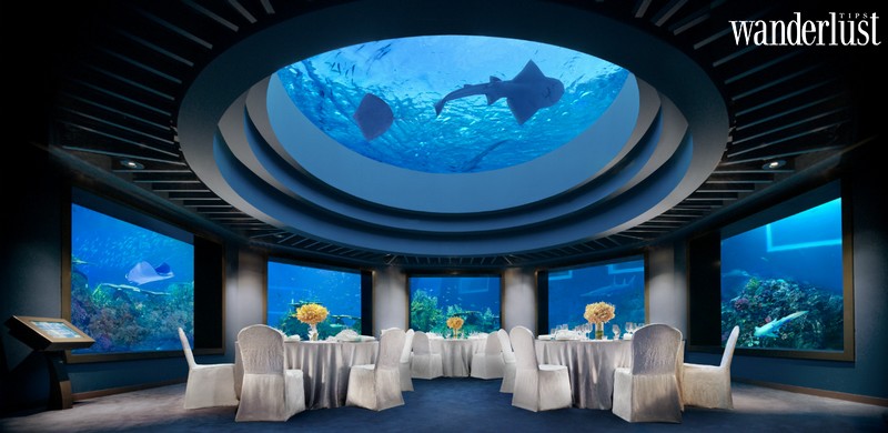 Tạp chí Du lịch Wanderlust Tips | Ocean Restaurant, Singapore: Thưởng thức bữa tối cùng hàng trăm ngàn sinh vật biển