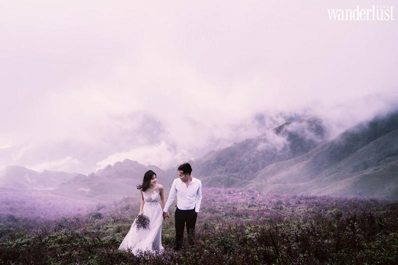 Rủ nhau lên Tà Chì Nhù ngắm cả đồi hoa Chi Pâu gây thương nhớ 11 Wanderlust tips ru nhau len ta chi nhu ngam ca doi hoa chi pau gay thuong nhoru nhau len ta chi nhu ngam ca doi hoa chi pau gay thuong nho7