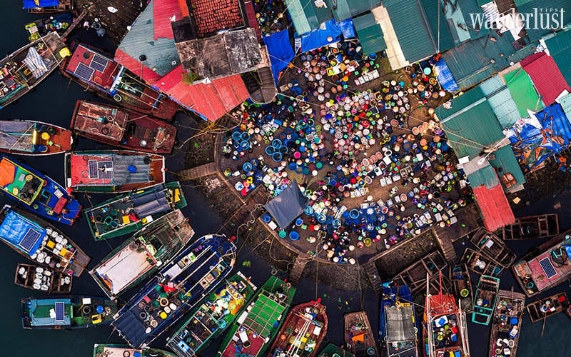 Có gì đặc biệt bên trong khu chợ hải sản ở cảng cá Hạ Long?