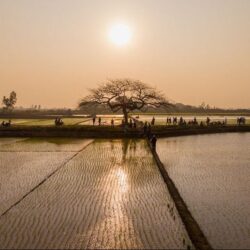 Tạp chí Du lịch Wanderlust Tips | Hà Nội: tin vui cho giới trẻ nhiều tâm sự, không cần đi đâu xa có ngay toạ độ của “cây cô đơn”