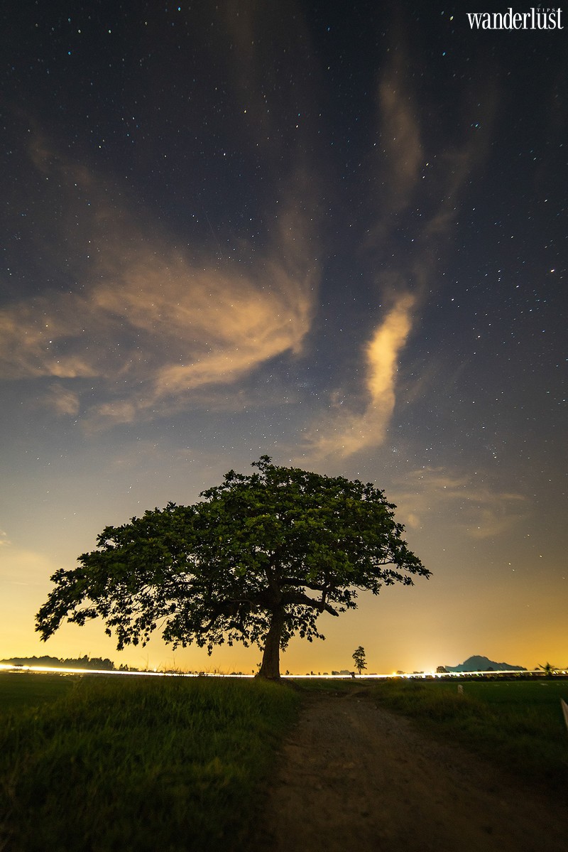 Hà Nội: tin vui cho giới trẻ nhiều tâm sự, không cần đi đâu xa có ngay toạ độ của “cây cô đơn” 9 Wanderlust tips ha noi tin vui voi gioi tre nhieu tam su khong can di dau xa co ngay toa do cua cay co don 7