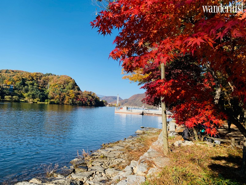 Tạp chí Du lịch Wanderlust Tips | Hàn Quốc: cảm nhận "trái tim mùa thu " tại xứ sở kim chi