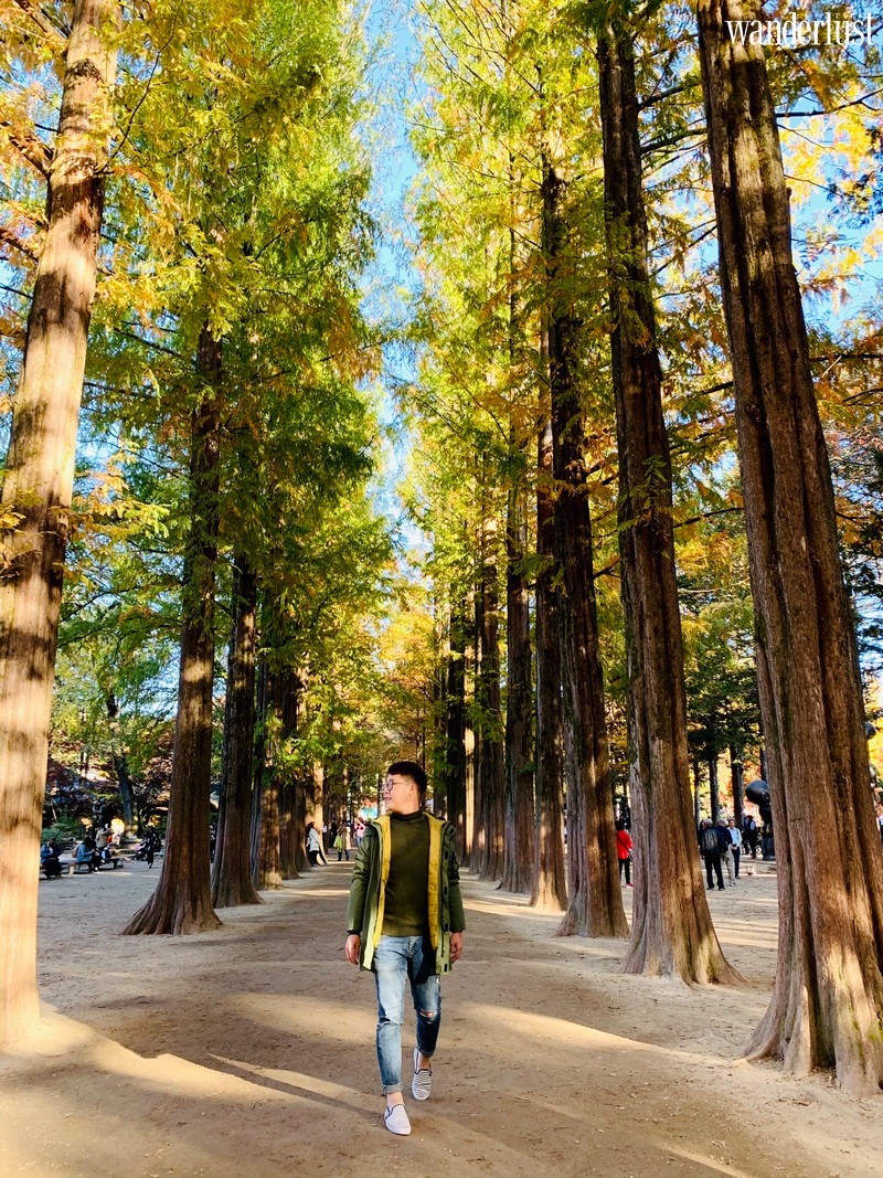 Tạp chí Du lịch Wanderlust Tips | Hàn Quốc: cảm nhận "trái tim mùa thu " tại xứ sở kim chi