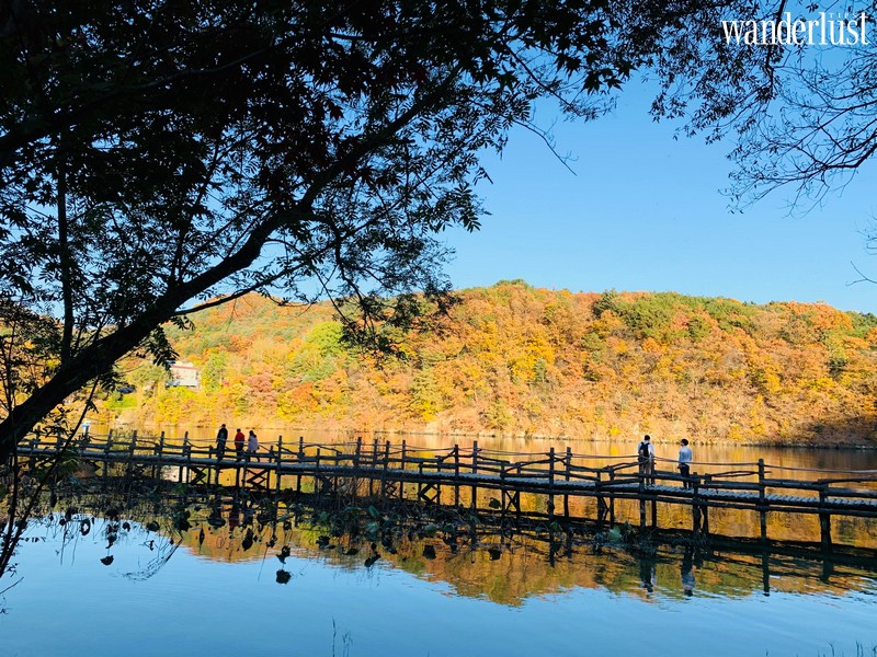Tạp chí Du lịch Wanderlust Tips | Hàn Quốc: cảm nhận "trái tim mùa thu " tại xứ sở kim chi