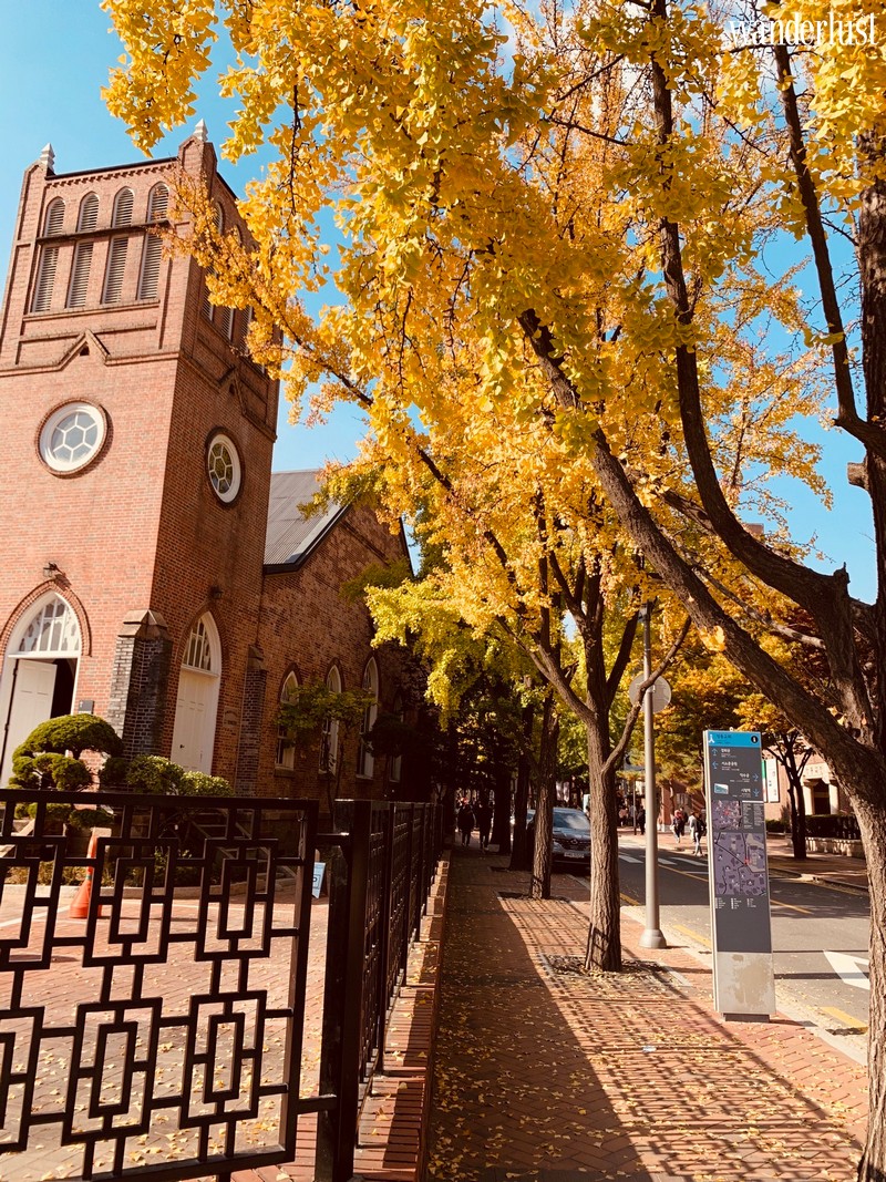 Tạp chí Du lịch Wanderlust Tips | Hàn Quốc: cảm nhận "trái tim mùa thu " tại xứ sở kim chi